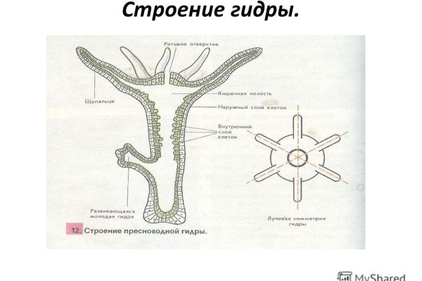 Кракен шоп krakenwebs org