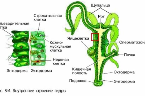 Ссылка на кракен реальная